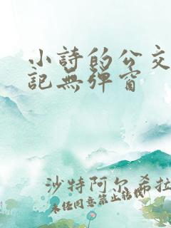 小诗的公交车日记无弹窗