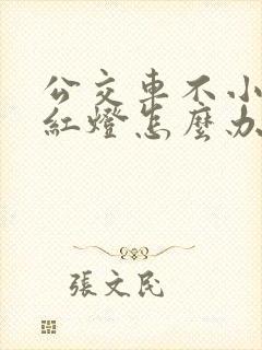公交车不小心闯红灯怎么办