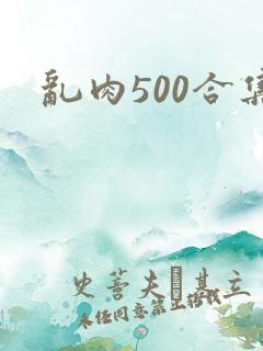 乱肉500合集