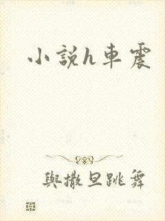 小说h车震