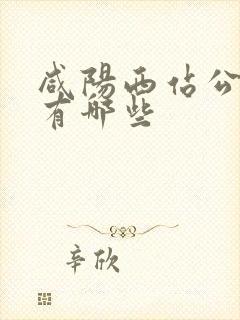 咸阳西站公交车有哪些