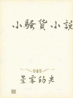 小骚货小说h