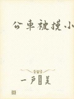公车被摸小说