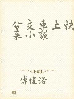公交车上快插进来小说