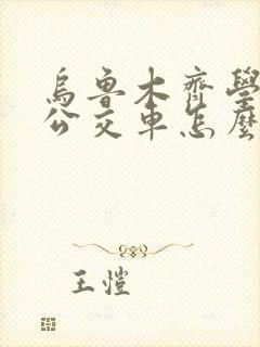 乌鲁木齐学生坐公交车怎么收费