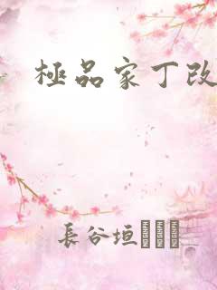 极品家丁改编版