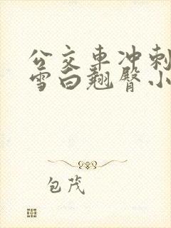公交车冲刺校花雪白翘臀小说