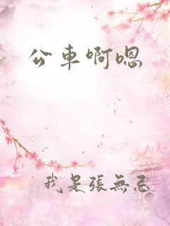 公车啊嗯