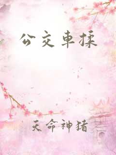 公交车揉