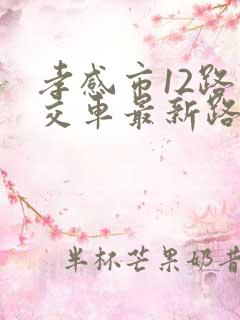 孝感市12路公交车最新路线和时间