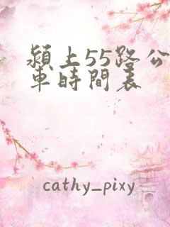 颍上55路公交车时间表