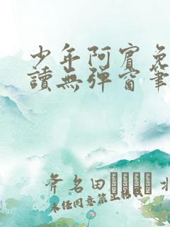 少年阿宾免费阅读无弹窗笔趣阁
