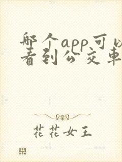 哪个app可以看到公交车到哪了