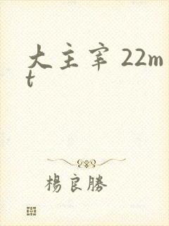 大主宰 22mt