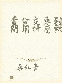 查公交车到站时间用什么软件