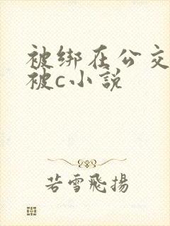 被绑在公交车里被c小说