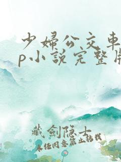 少妇公交车上3p小说完整版
