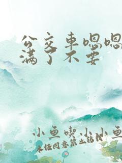 公交车嗯嗯啊啊满了不要