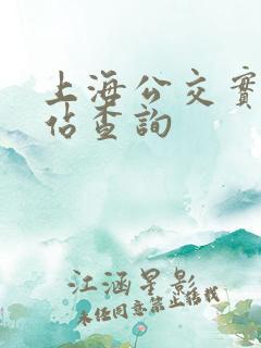 上海公交实时到站查询