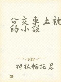 公交车上被高潮的小说
