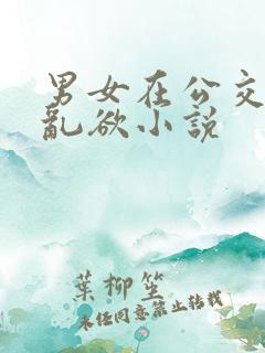 男女在公交车上乱欲小说