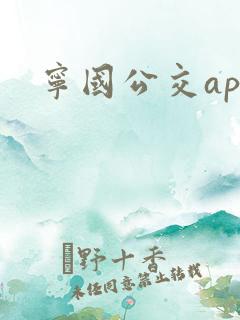 宁国公交app