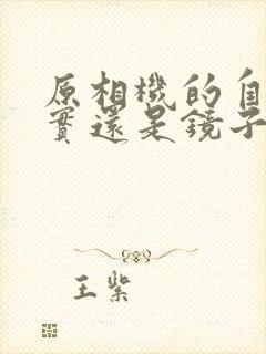 原相机的自己真实还是镜子里的自己真实