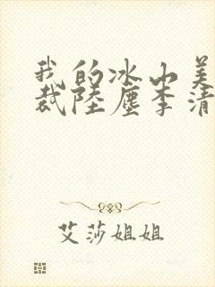 我的冰山美女总裁陆尘李清瑶