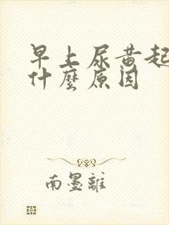 早上尿黄起泡是什么原因