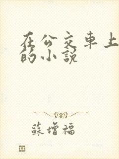 在公交车上被插的小说
