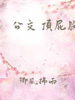 公交 顶屁股