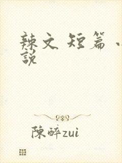 辣文 短篇 小说
