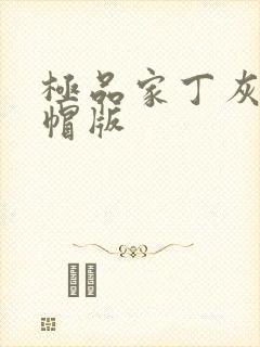 极品家丁灰色绿帽版
