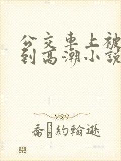 公交车上被人摸到高潮小说