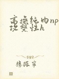 高操纯肉np互攻双性h