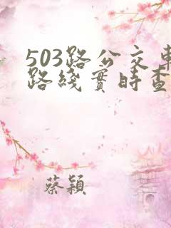 503路公交车路线实时查询