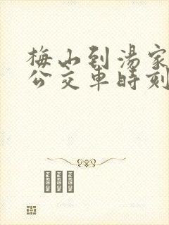 梅山到汤家汇镇公交车时刻表