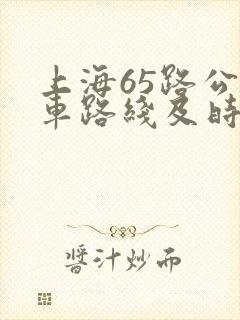 上海65路公交车路线及时间表