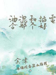 油混和插电式混合哪个好