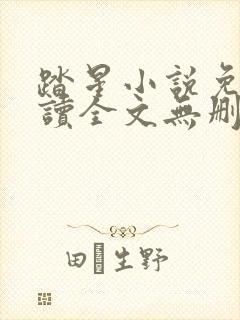 踏星小说免费阅读全文无删减