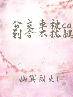 公交车被cao到合不拢腿图片