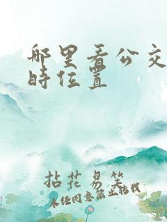 哪里看公交车实时位置