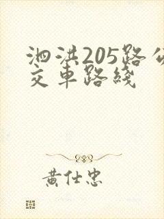 泗洪205路公交车路线