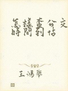 怎样查公交什么时间到站
