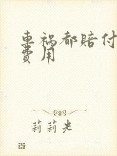 车祸都赔付哪些费用