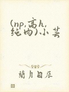 (np,高h,纯肉)小芸