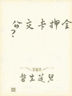 公交卡押金多少?