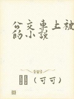 公交车上被玩弄的小说