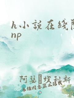 h小说在线阅读np