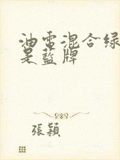 油电混合绿牌还是蓝牌